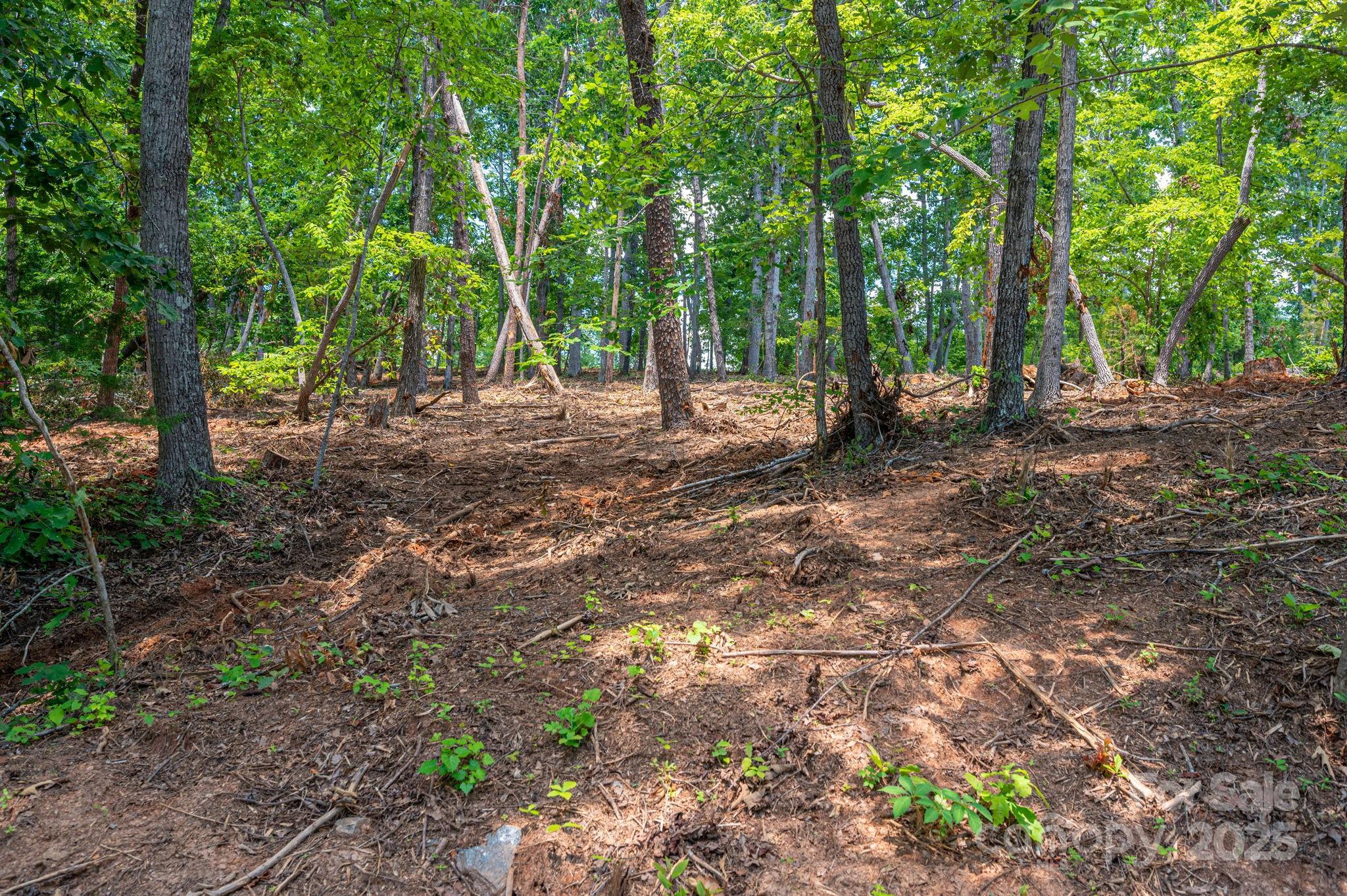 Lot 209 Plantation Drive Rutherfordton NC 28139
