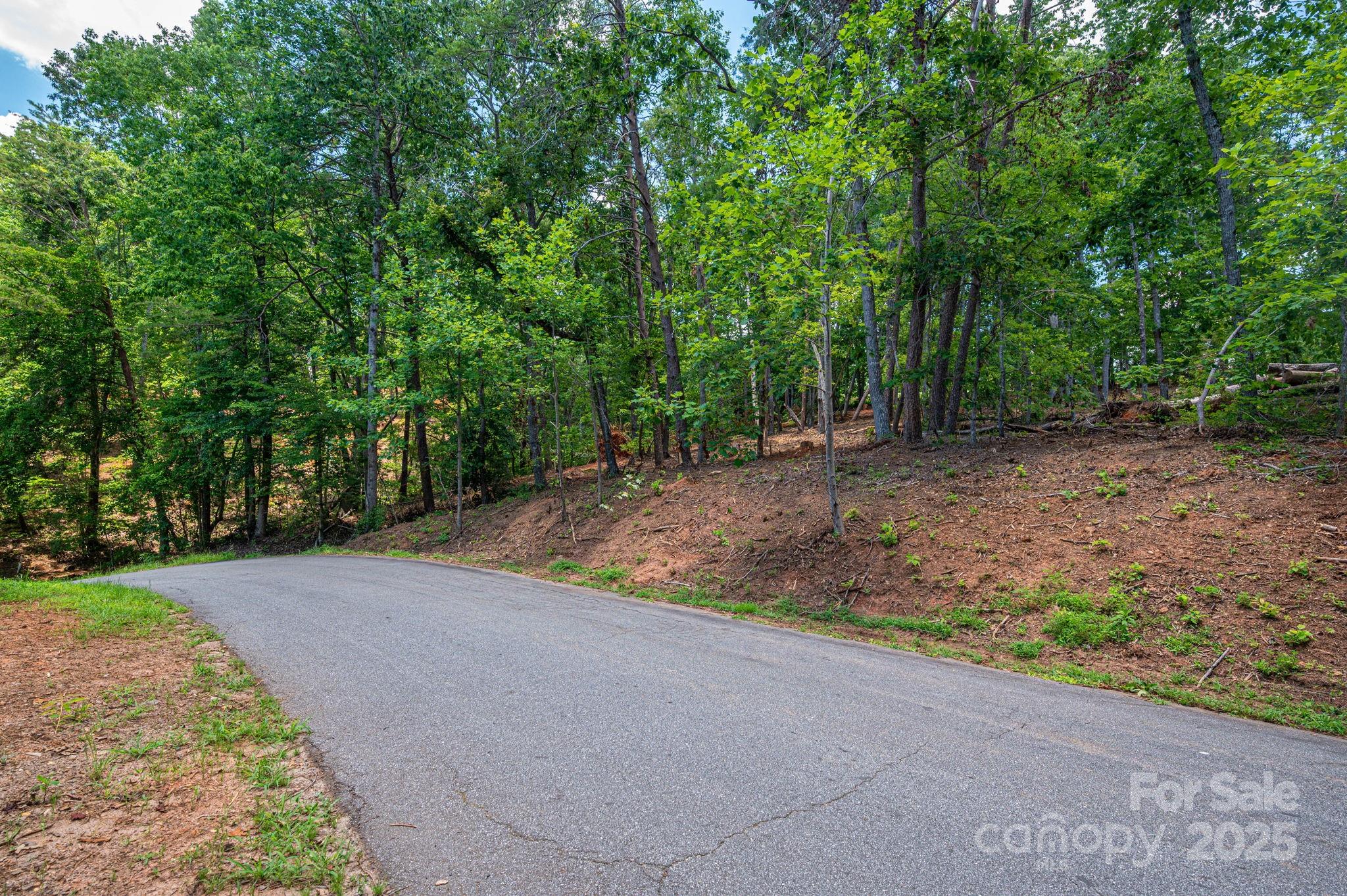 Lot 209 Plantation Drive Rutherfordton NC 28139