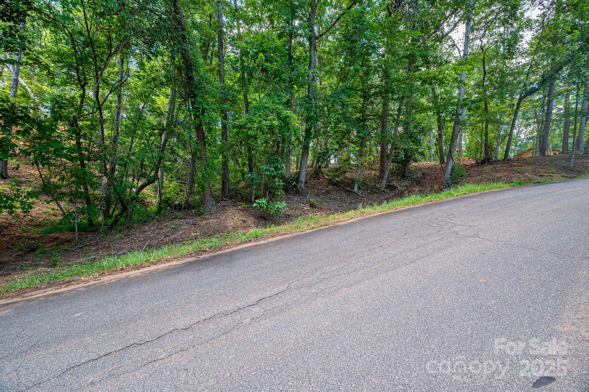 Lot 209 Plantation Drive Rutherfordton NC 28139