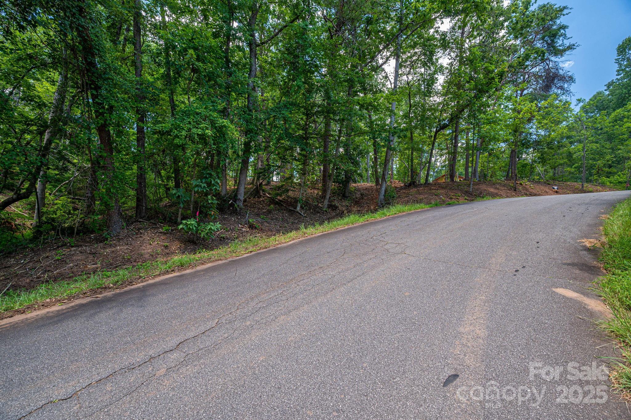 Lot 209 Plantation Drive Rutherfordton NC 28139