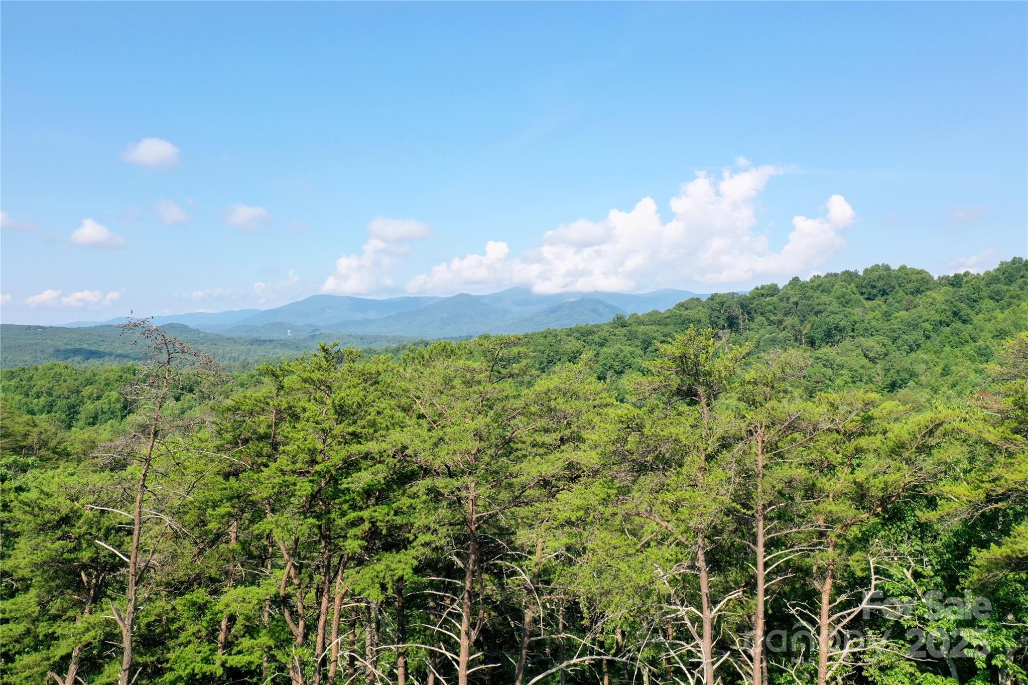 241 Rock Ledge Drive Lake Lure NC 28746