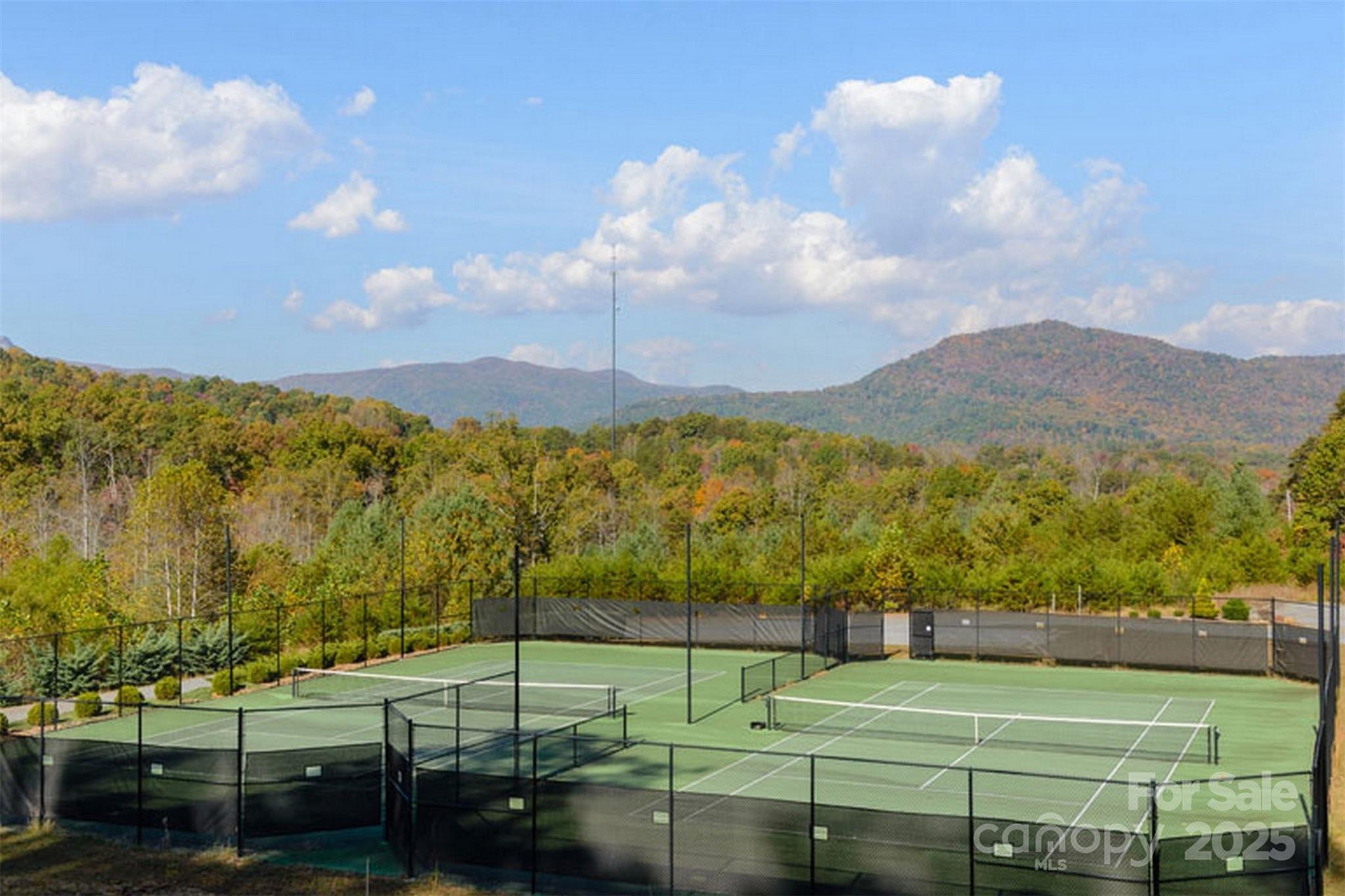 241 Rock Ledge Drive Lake Lure NC 28746
