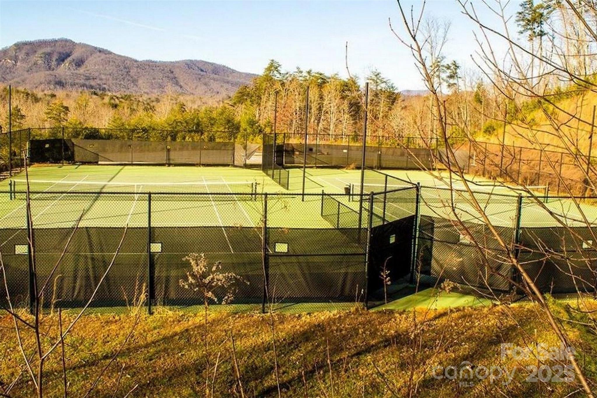 241 Rock Ledge Drive Lake Lure NC 28746