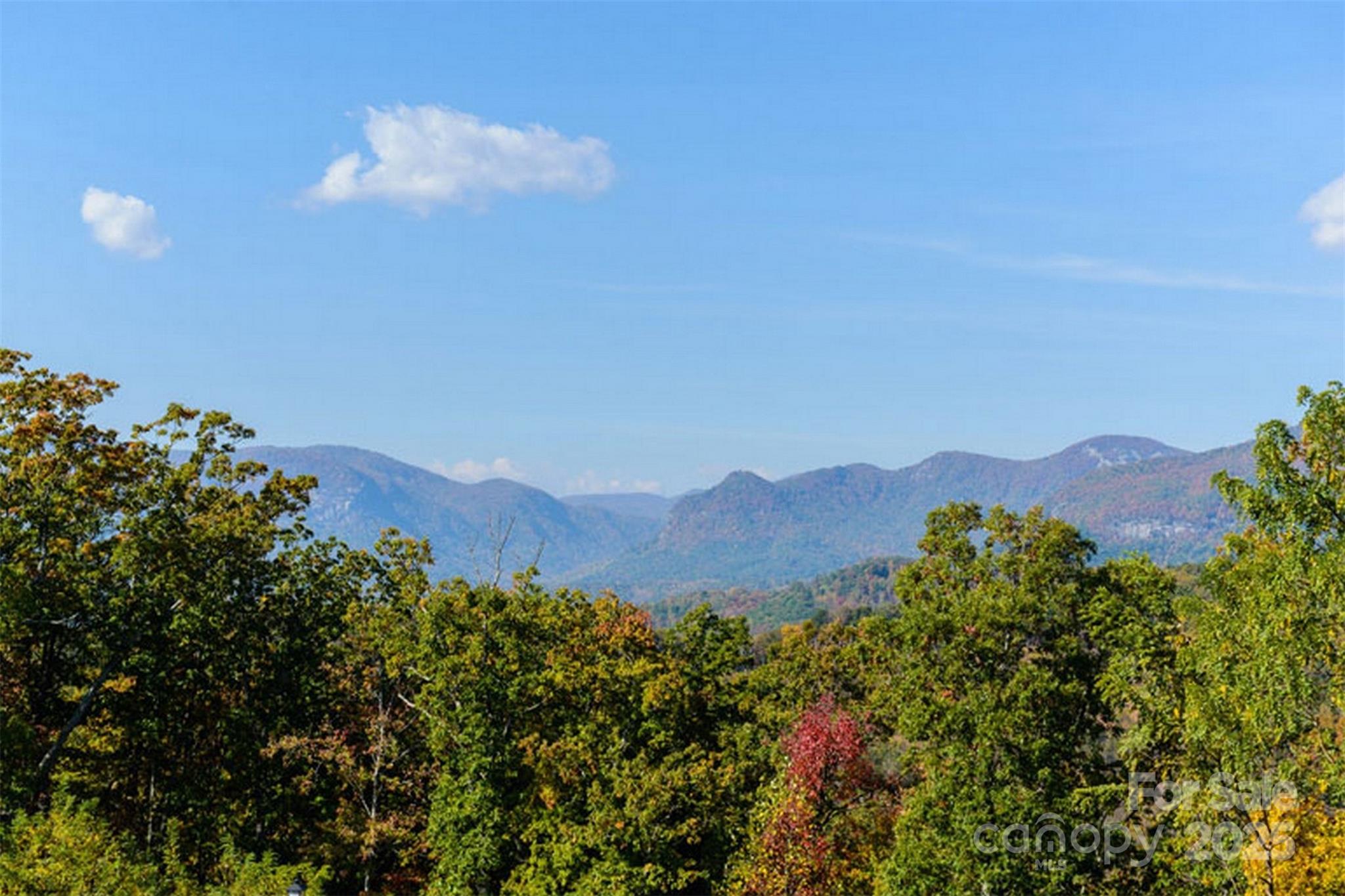 241 Rock Ledge Drive Lake Lure NC 28746