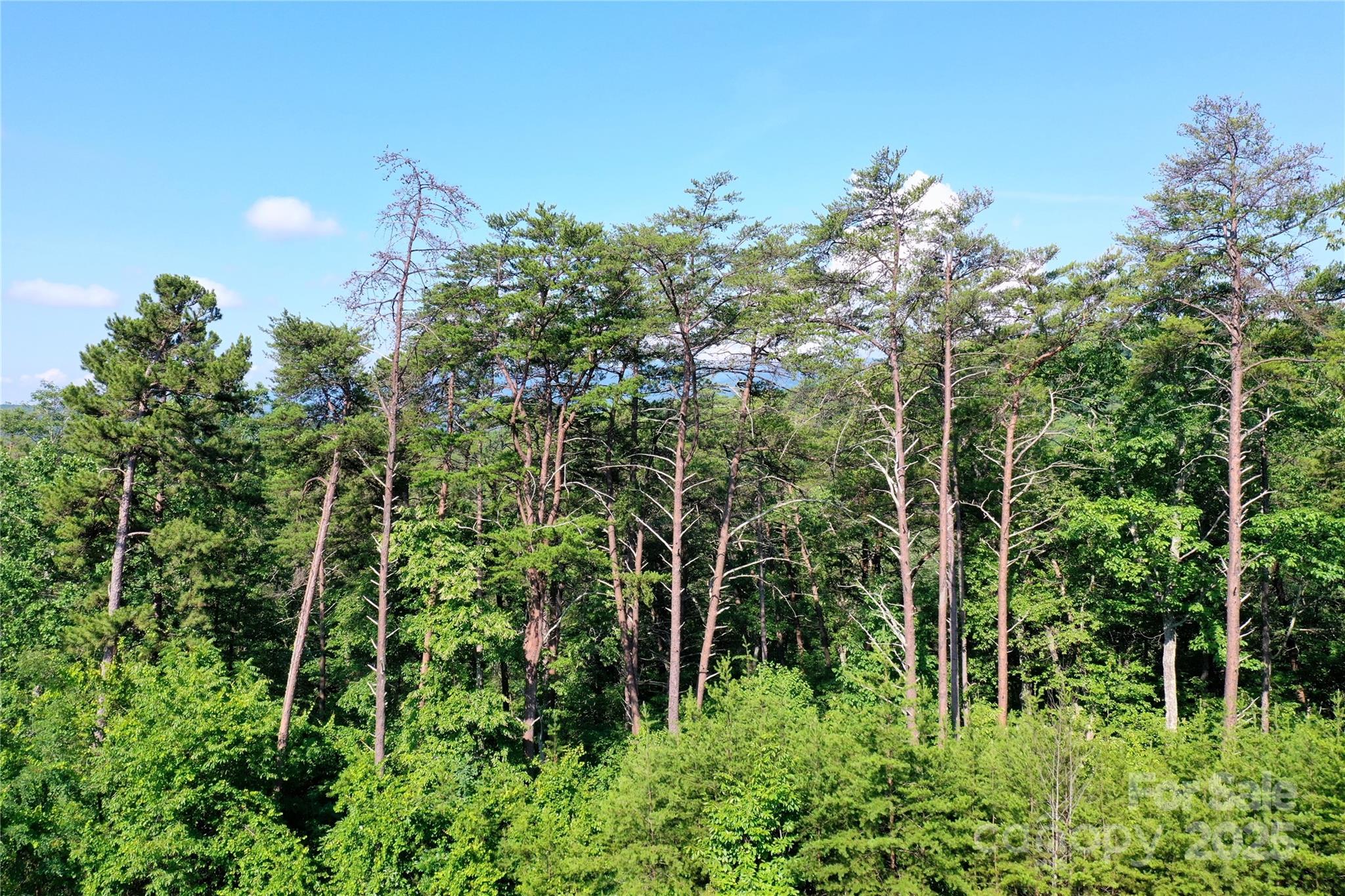 241 Rock Ledge Drive Lake Lure NC 28746