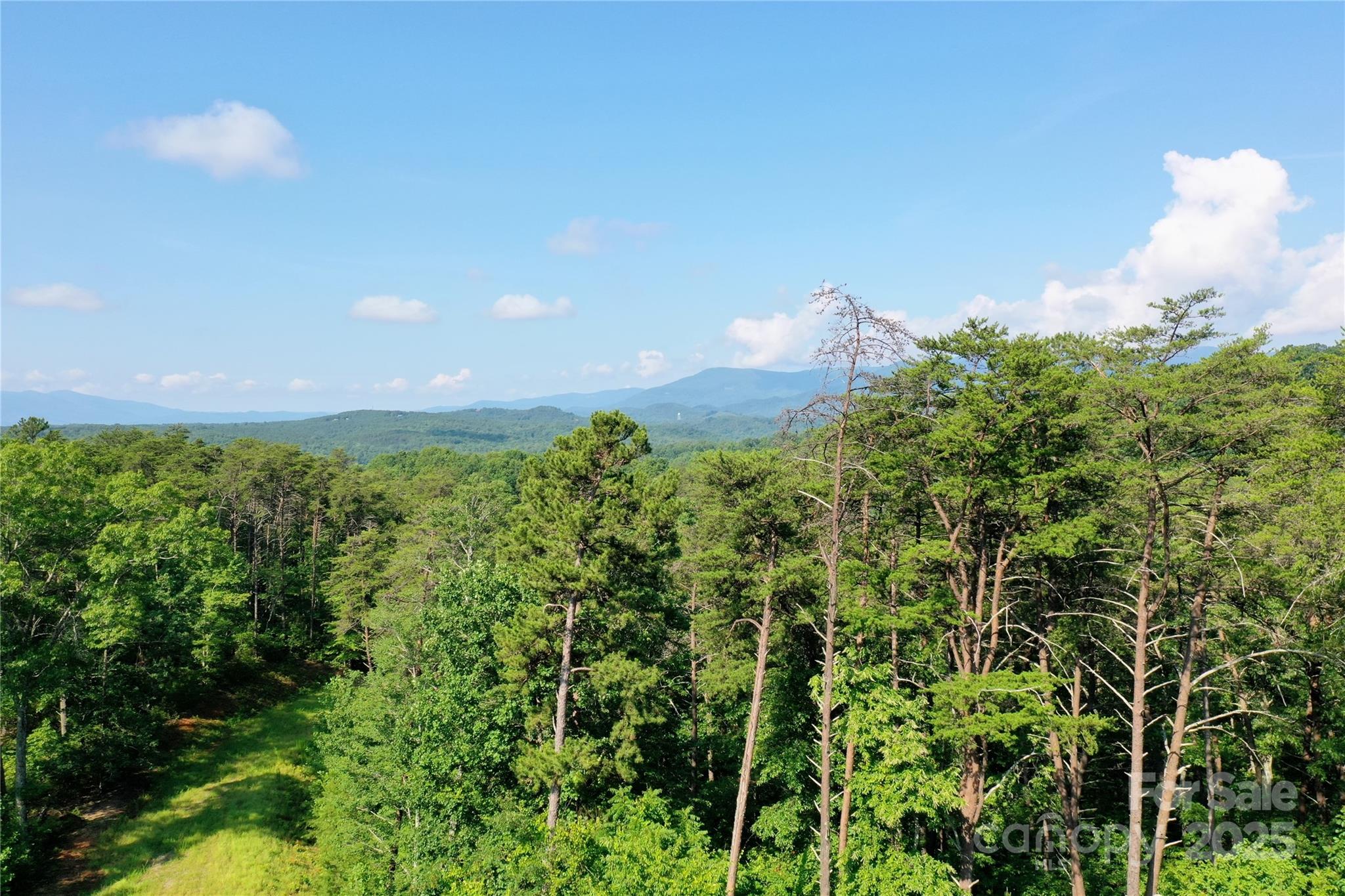 241 Rock Ledge Drive Lake Lure NC 28746