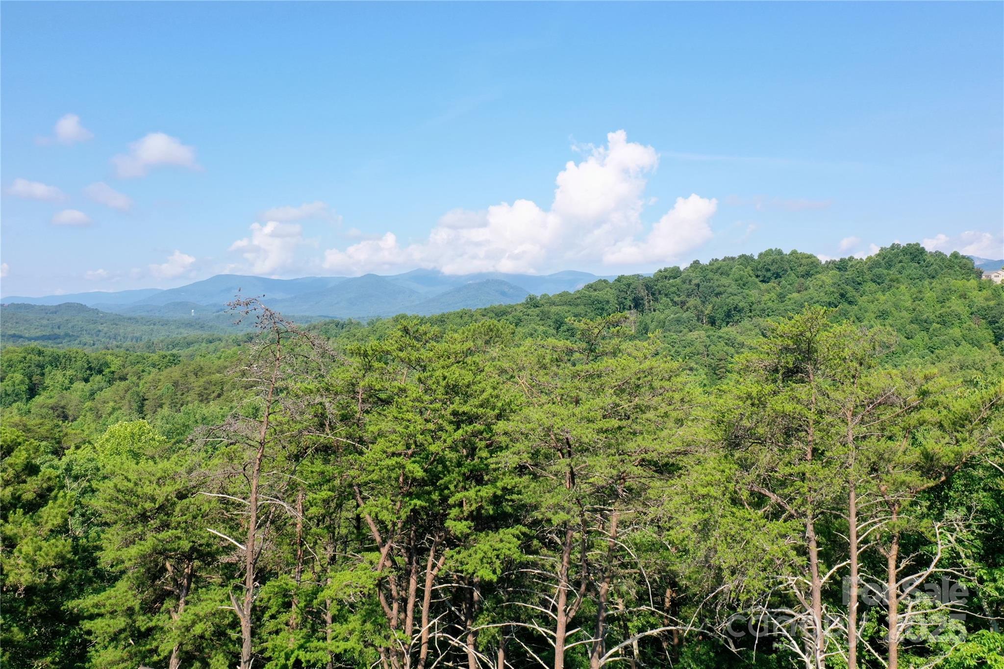 241 Rock Ledge Drive Lake Lure NC 28746