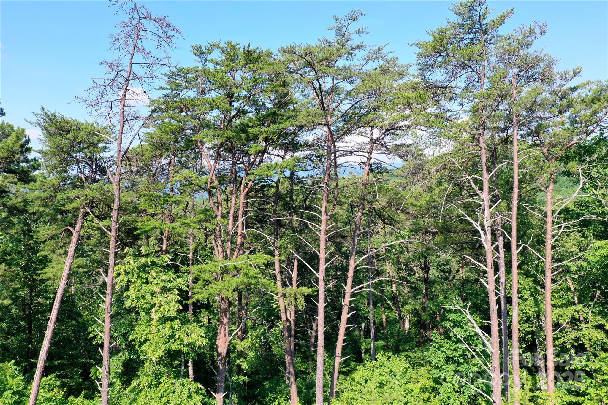241 Rock Ledge Drive Lake Lure NC 28746