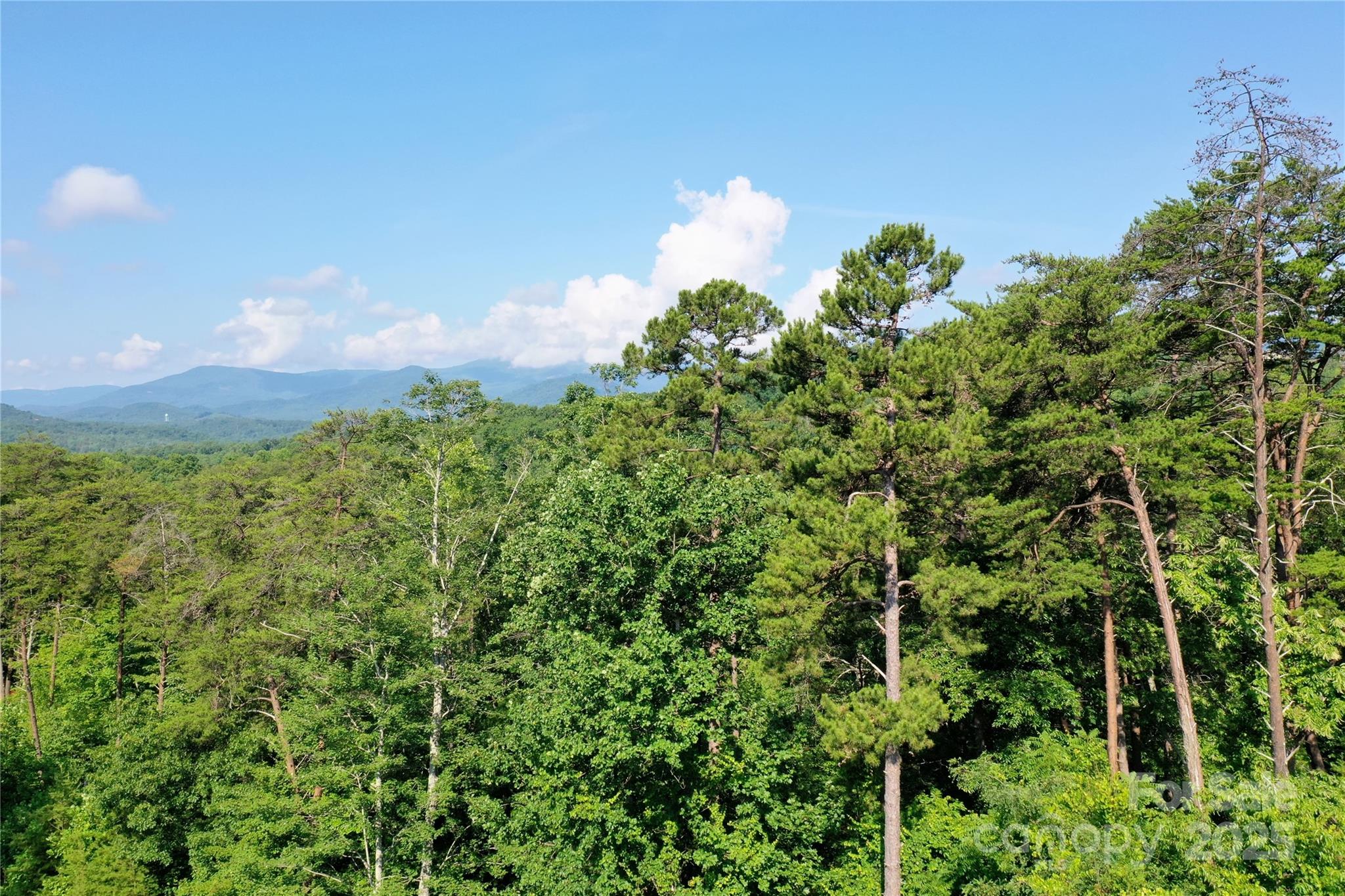 241 Rock Ledge Drive Lake Lure NC 28746