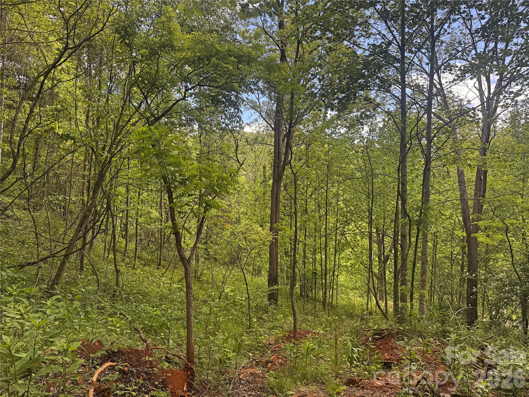 V/l Wolf Crossing Bakersville NC 28705