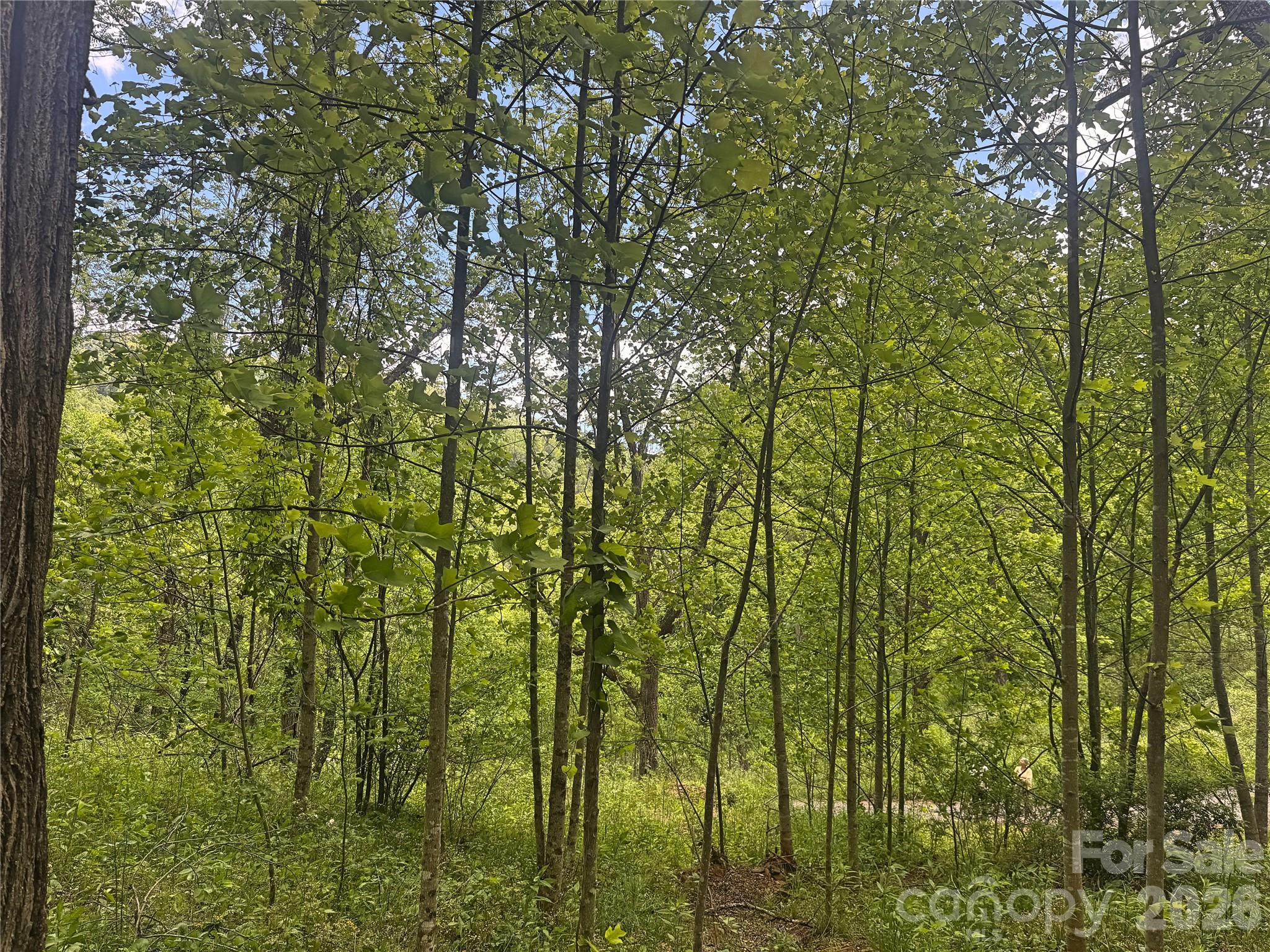 V/l Wolf Crossing Bakersville NC 28705