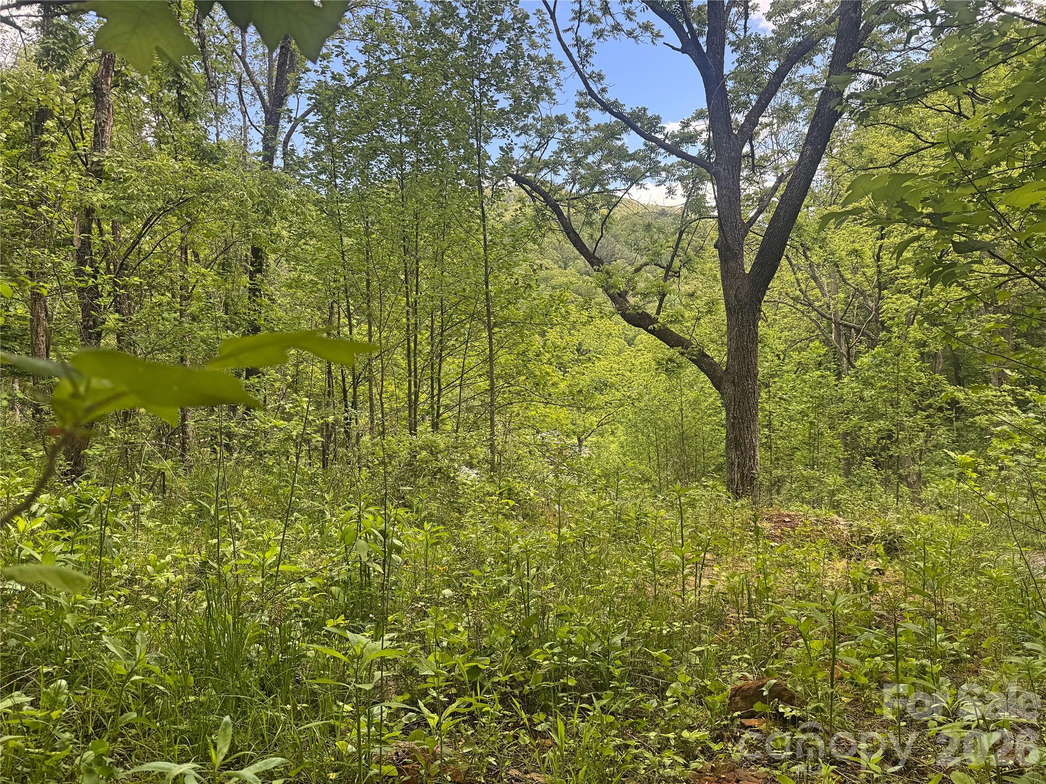 V/l Wolf Crossing Bakersville NC 28705