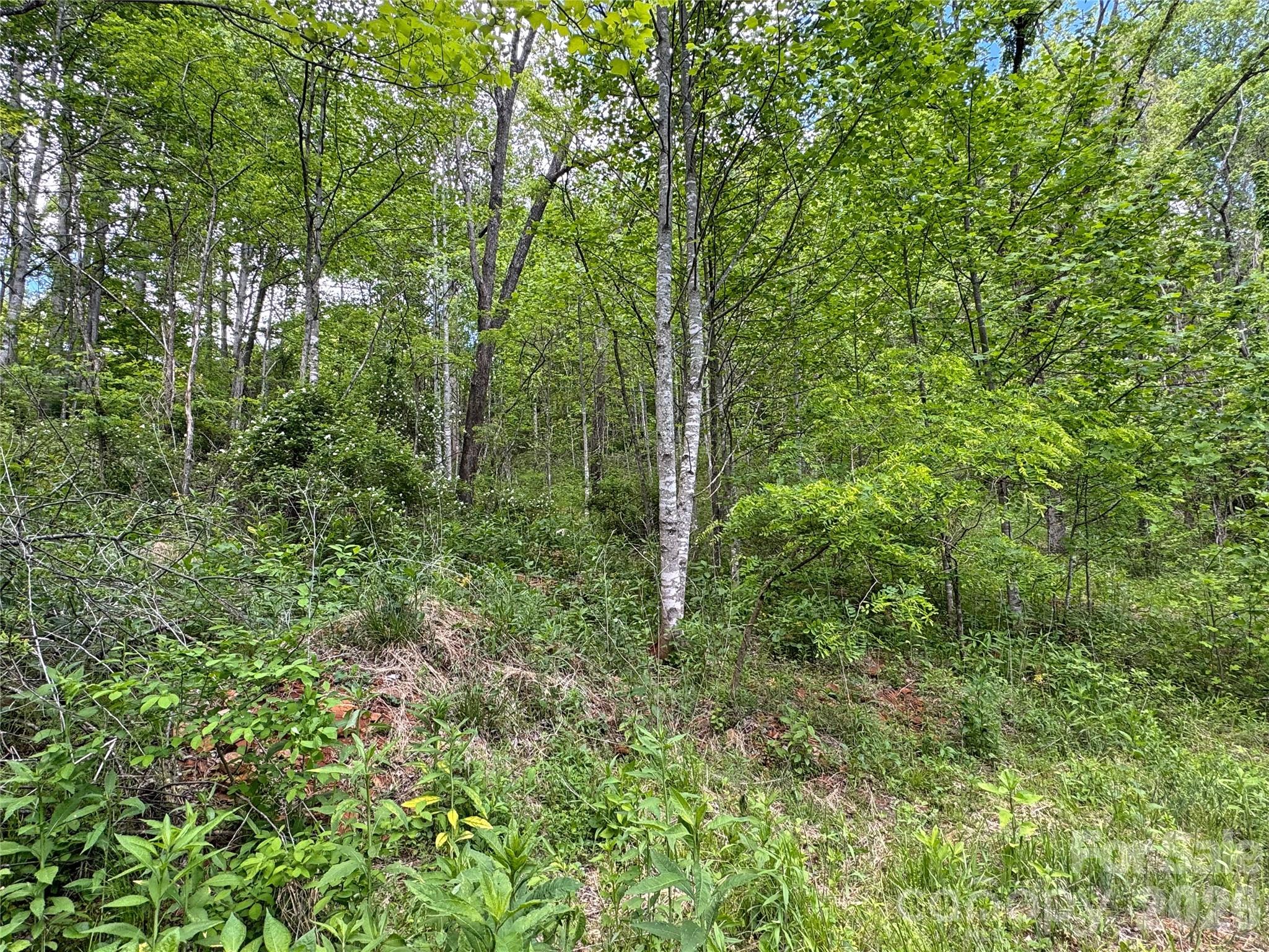 V/l Wolf Crossing Bakersville NC 28705