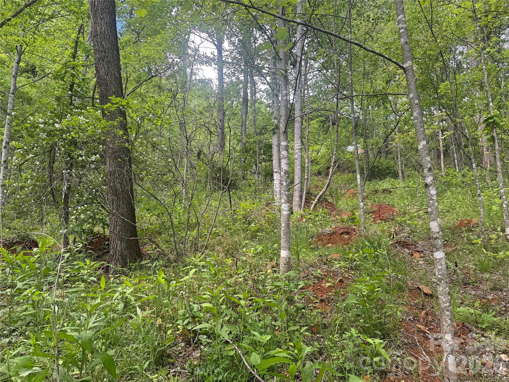 V/l Wolf Crossing Bakersville NC 28705