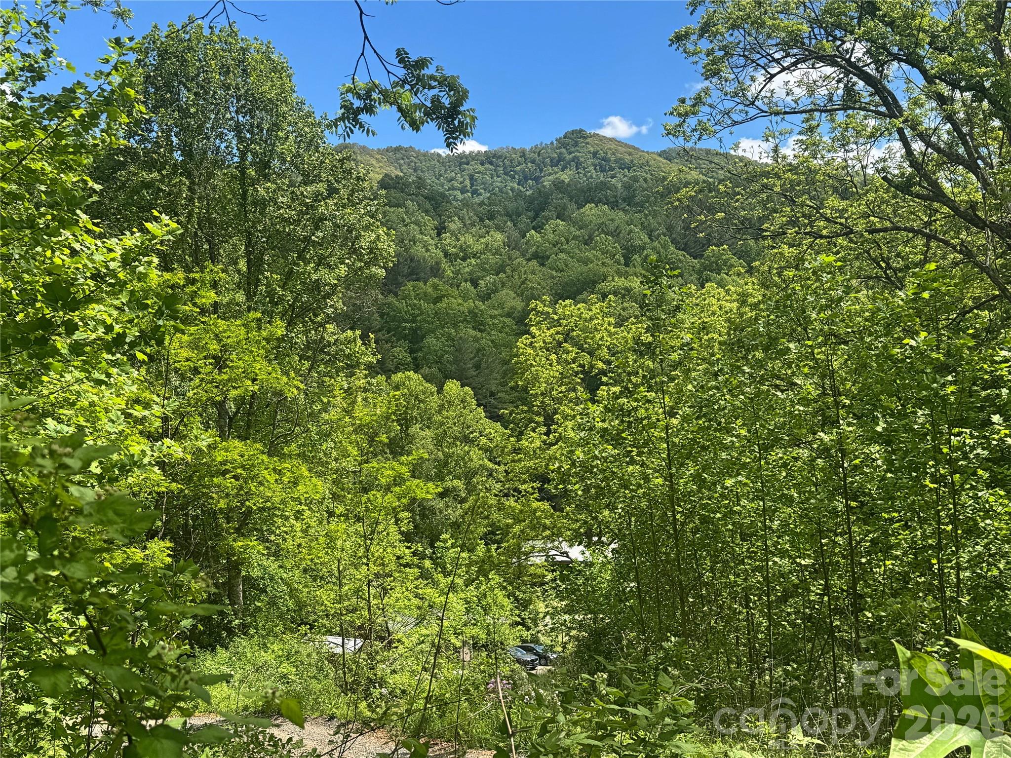 V/l Wolf Crossing Bakersville NC 28705