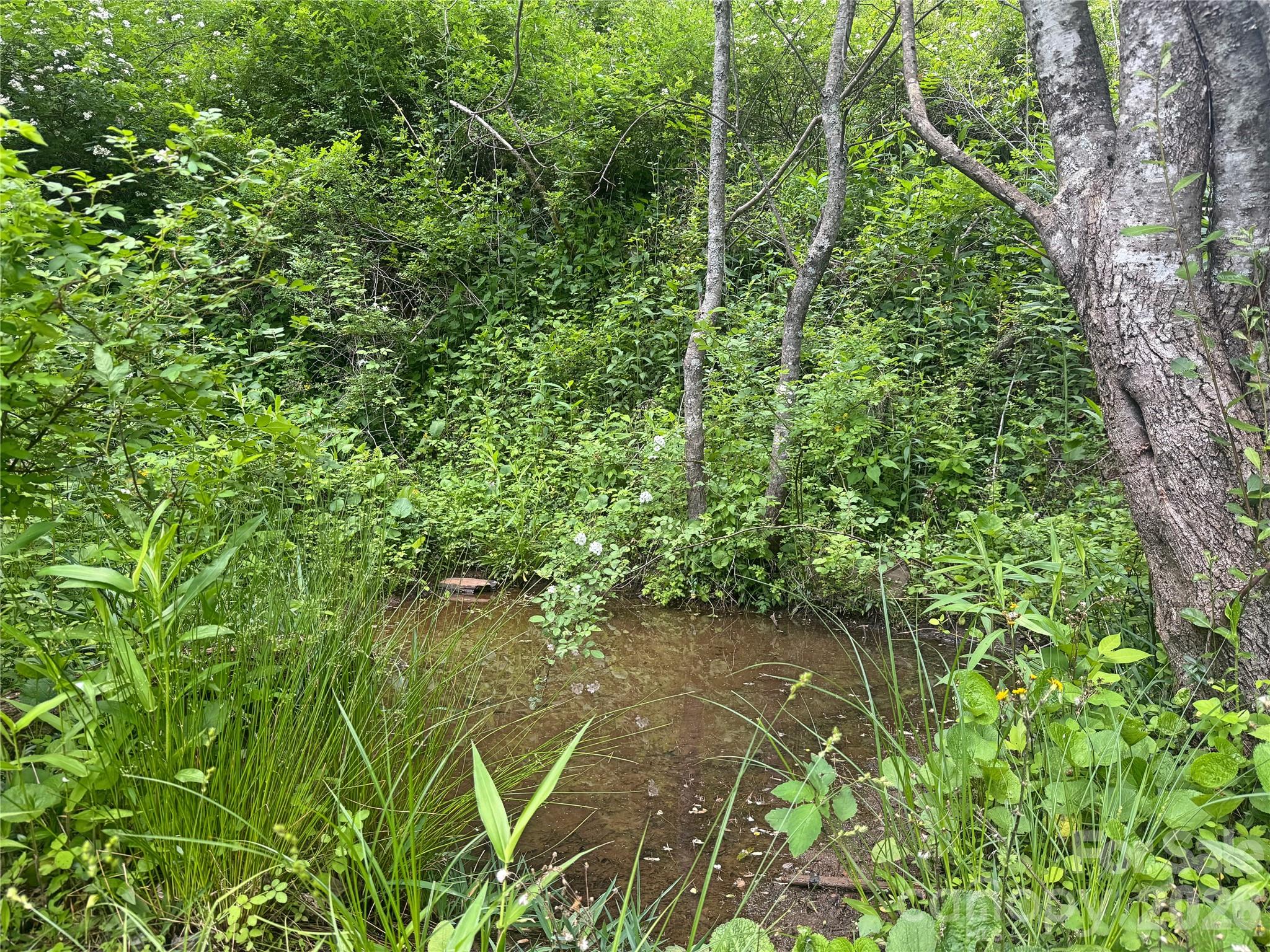 V/l Wolf Crossing Bakersville NC 28705