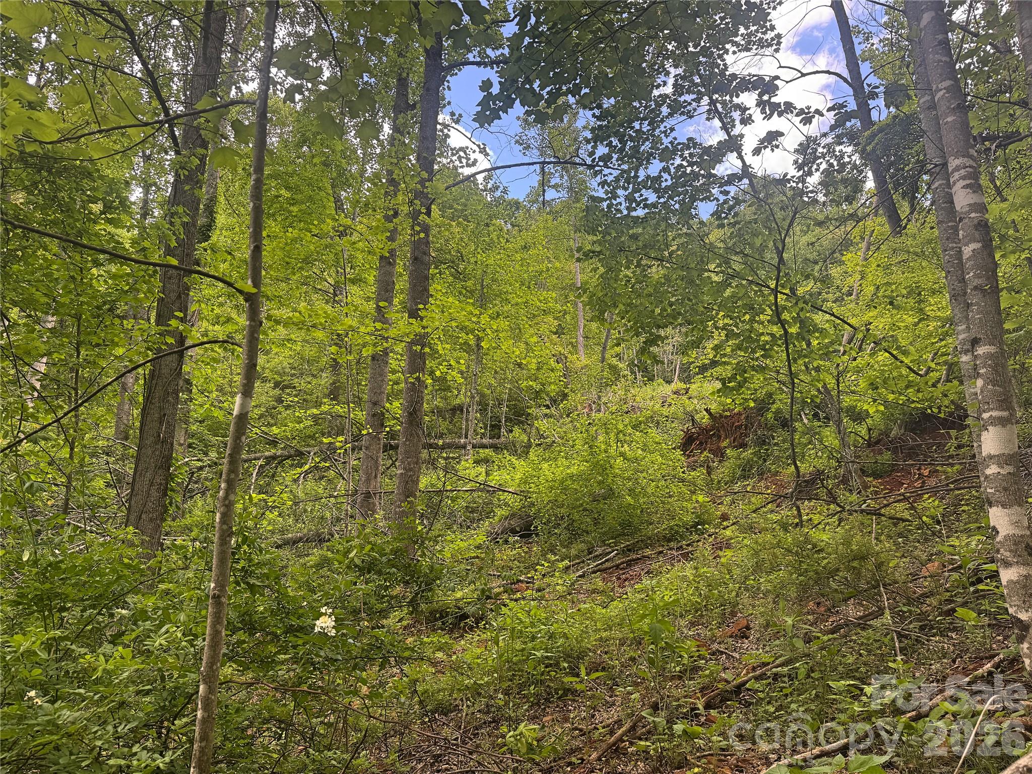 V/l Wolf Crossing Bakersville NC 28705