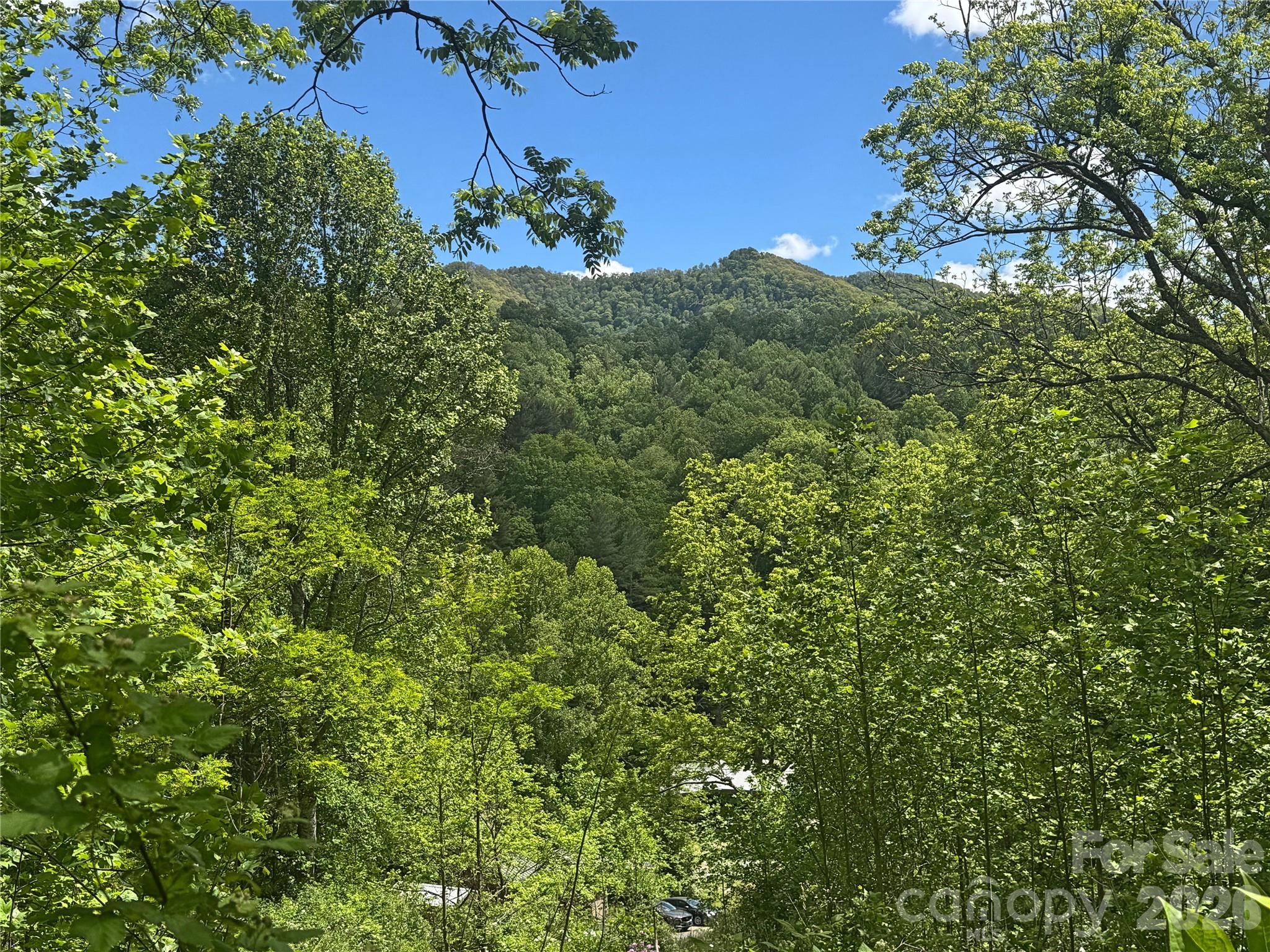 V/l Wolf Crossing Bakersville NC 28705