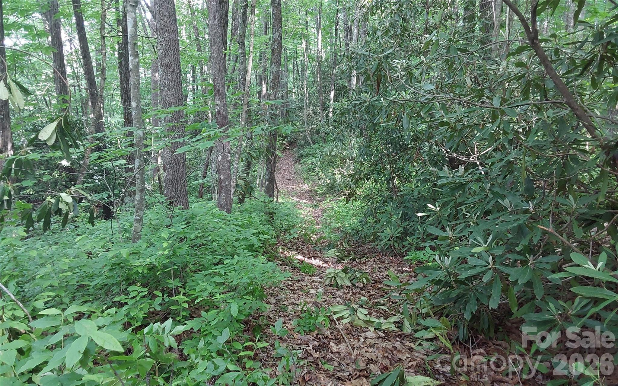 A2 Cardinal Drive Lake Toxaway NC 28747
