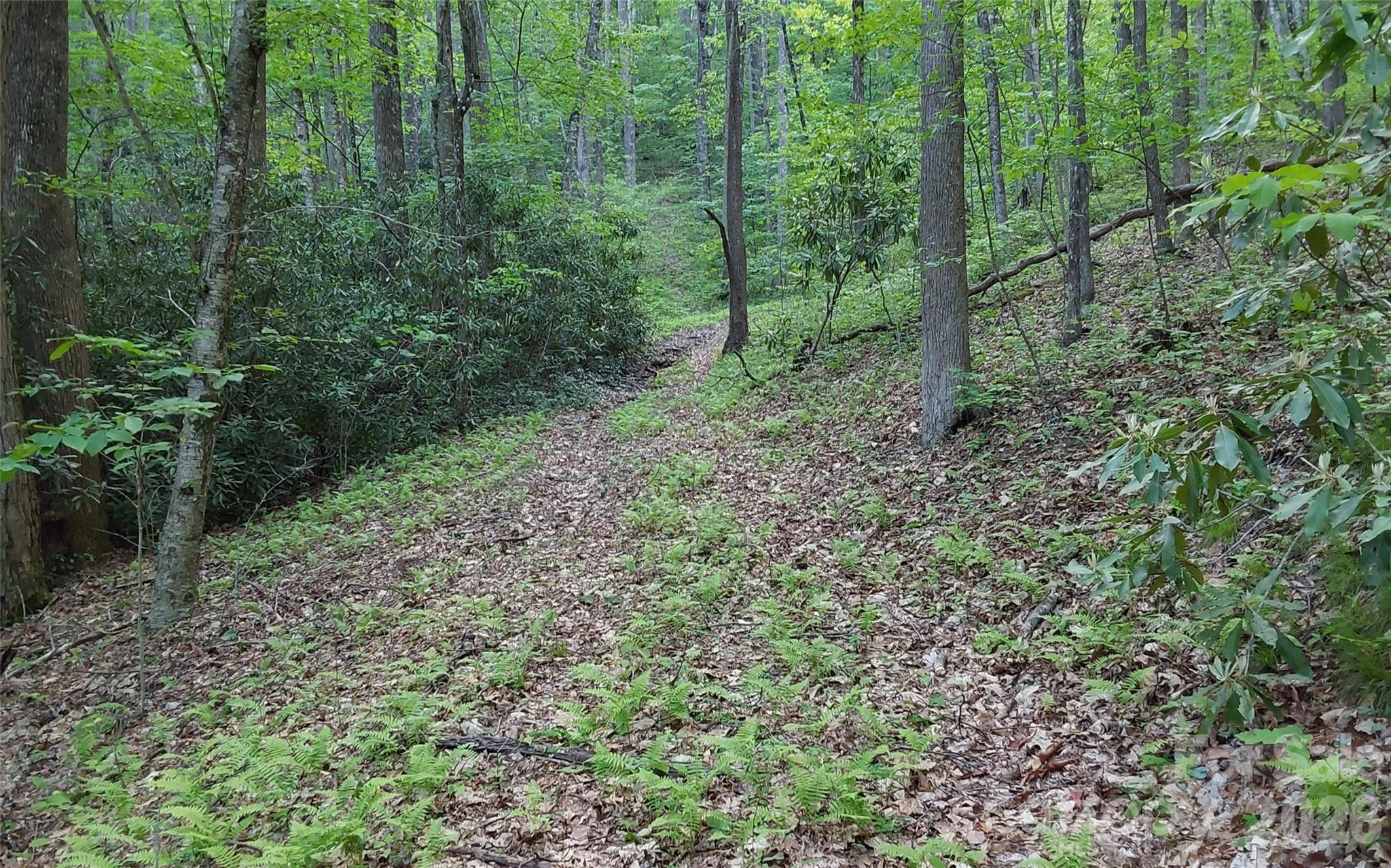 A2 Cardinal Drive Lake Toxaway NC 28747