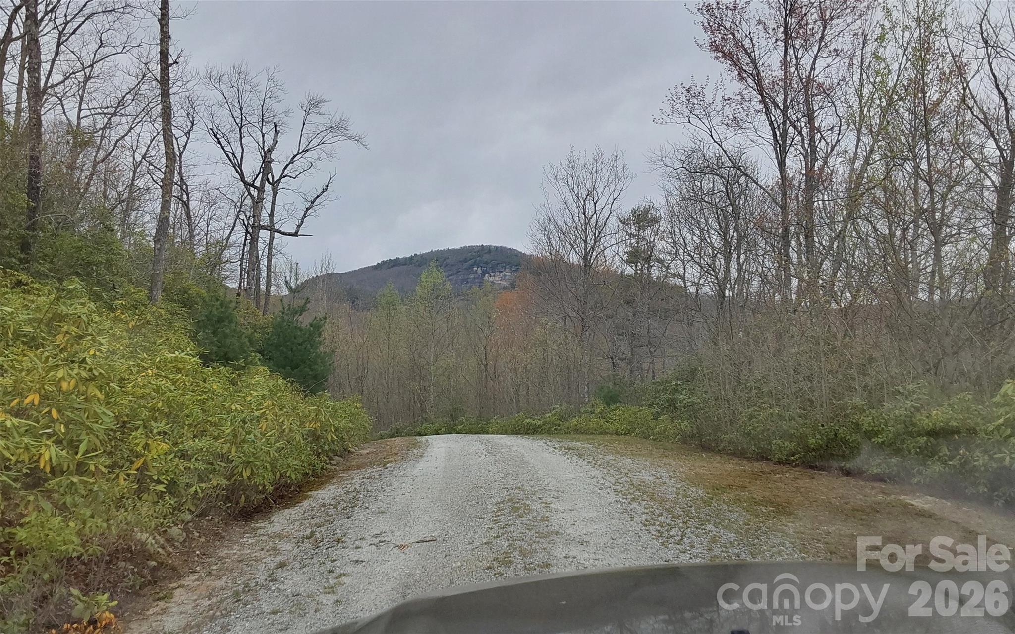 A2 Cardinal Drive Lake Toxaway NC 28747