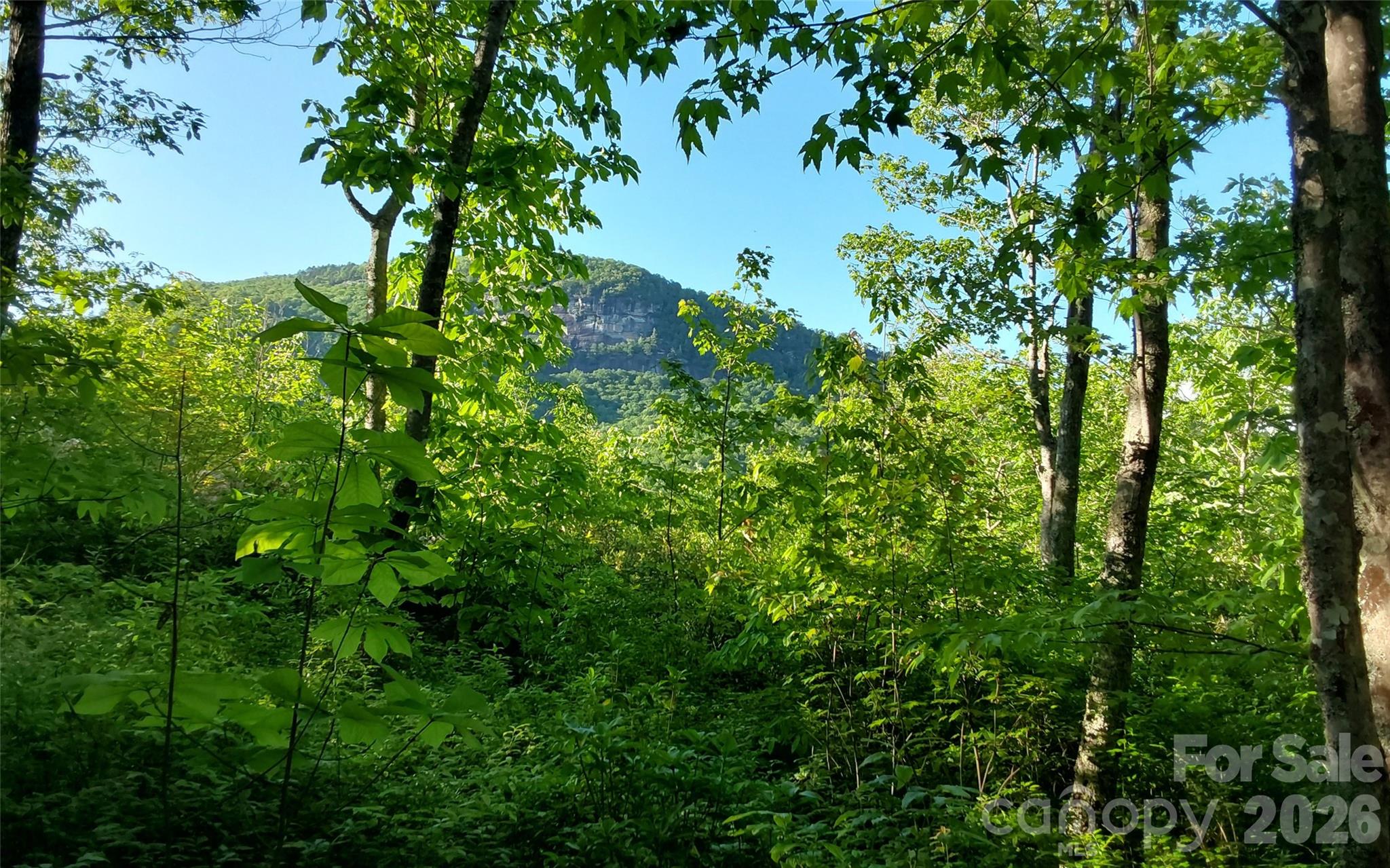 A2 Cardinal Drive Lake Toxaway NC 28747