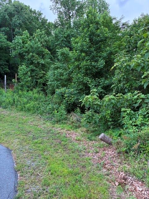 97 Devin Ridge Lane Union Mills NC 28167