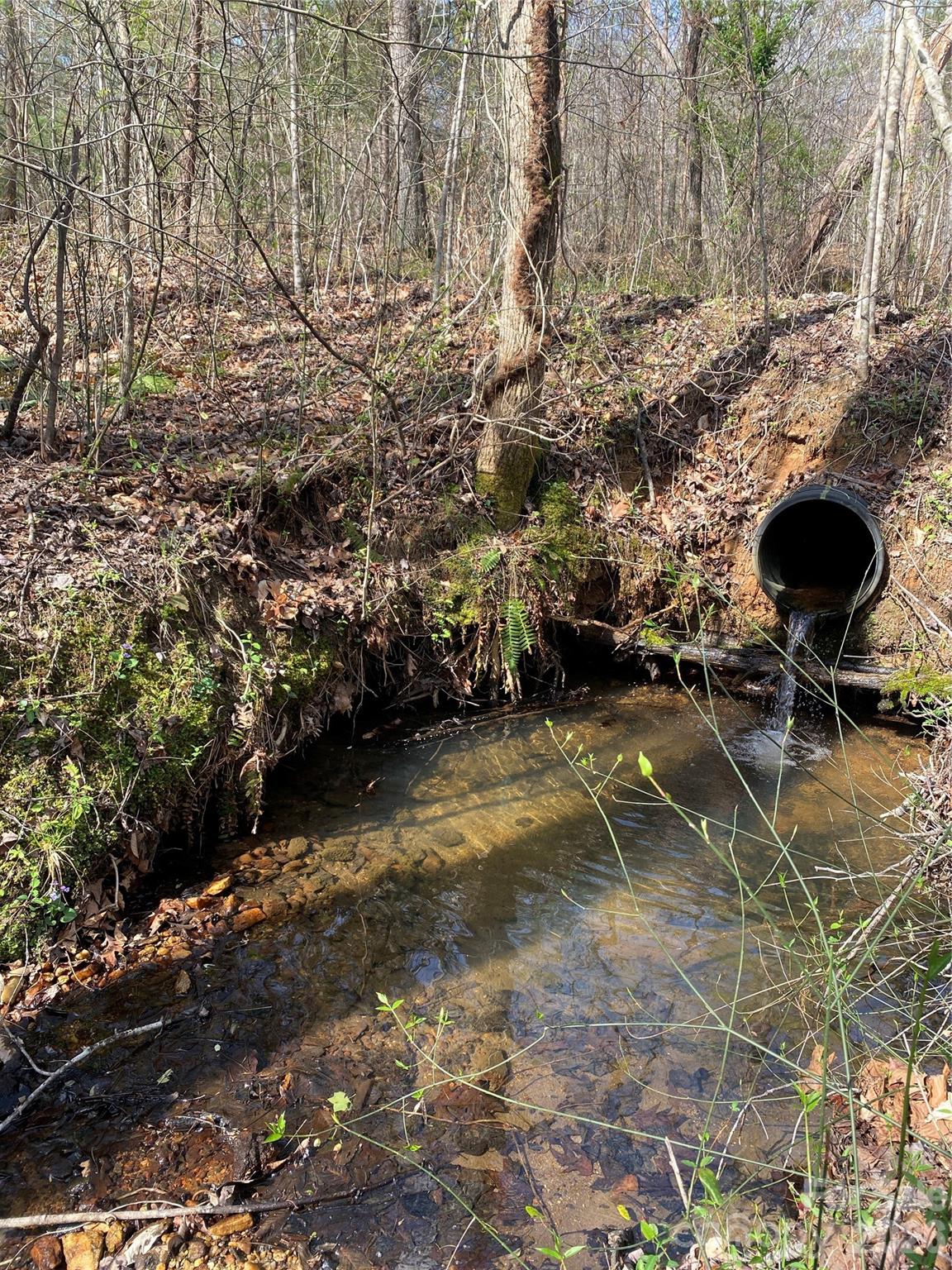 00 Cane Creek Mountain Road Bostic NC 28018