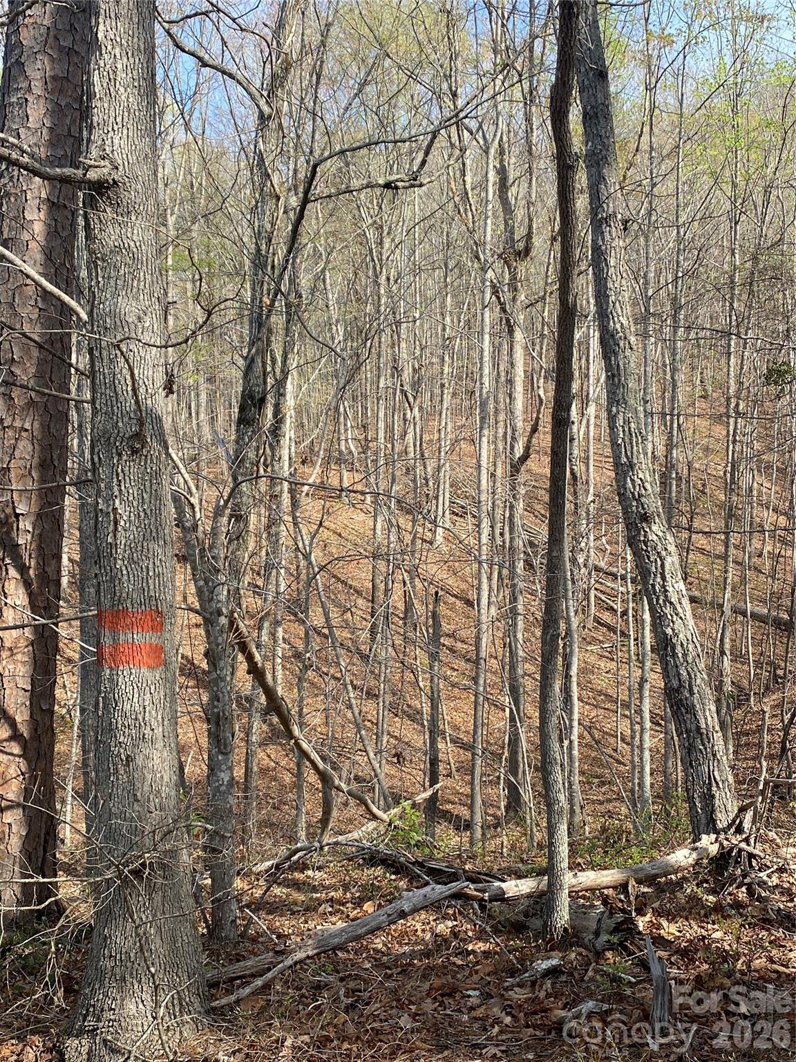 00 Cane Creek Mountain Road Bostic NC 28018