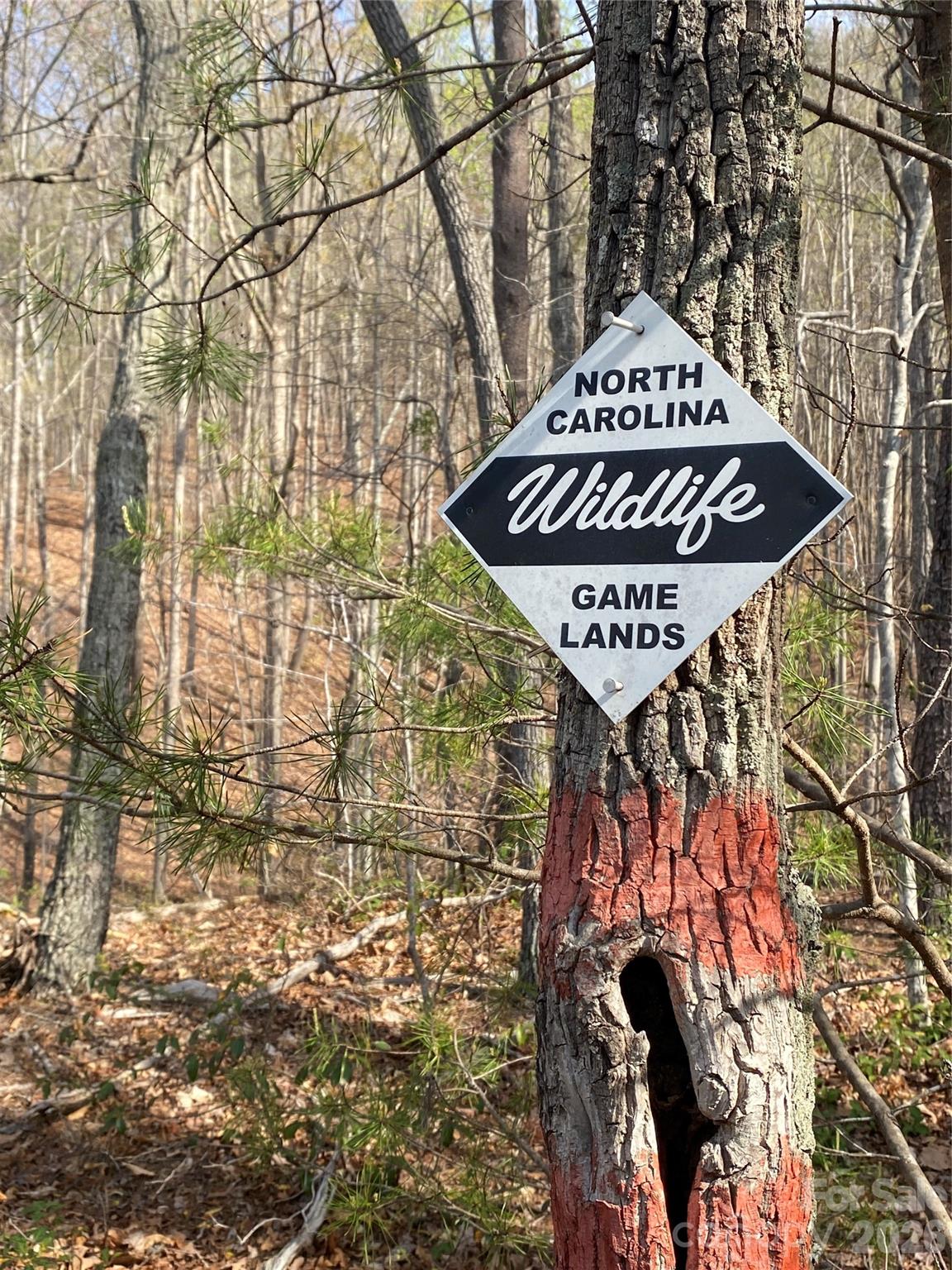 00 Cane Creek Mountain Road Bostic NC 28018