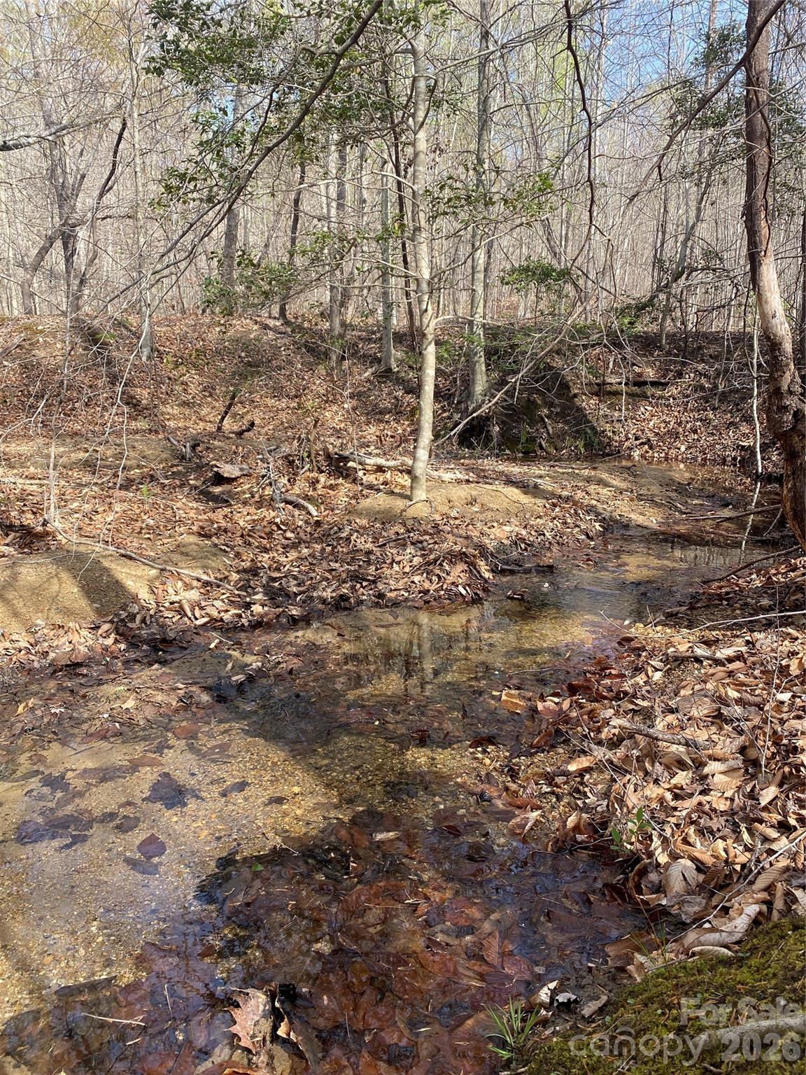 00 Cane Creek Mountain Road Bostic NC 28018