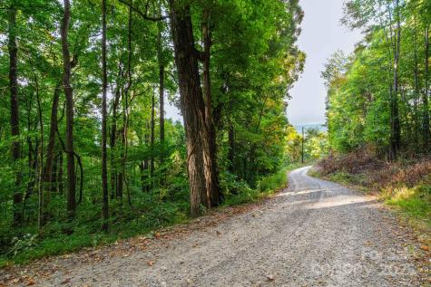 Tbd Springbrook Farm Road Waynesville NC 28786