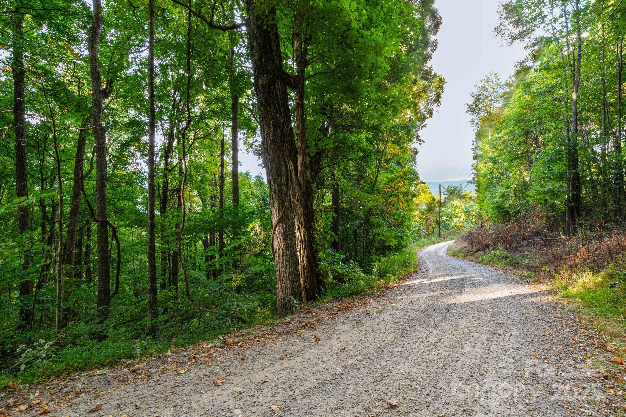 Tbd Springbrook Farm Road Waynesville NC 28786