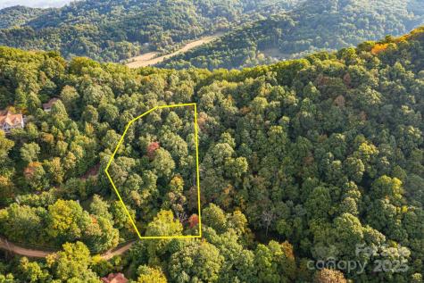 Tbd Springbrook Farm Road Waynesville NC 28786