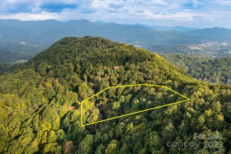 Tbd Springbrook Farm Road Waynesville NC 28786
