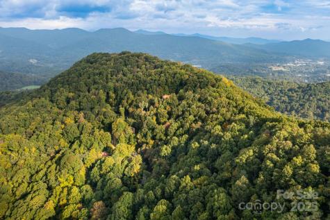 Tbd Springbrook Farm Road Waynesville NC 28786