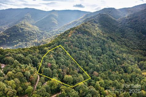 Tbd Springbrook Farm Road Waynesville NC 28786