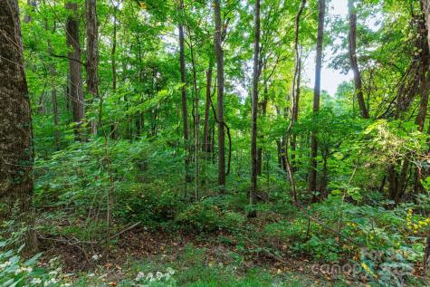 Tbd Springbrook Farm Road Waynesville NC 28786