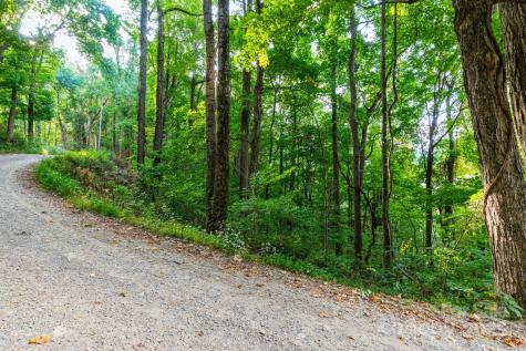 Tbd Springbrook Farm Road Waynesville NC 28786