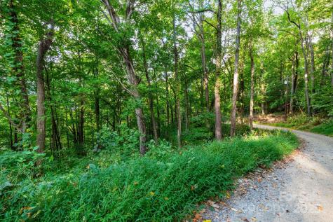 Tbd Springbrook Farm Road Waynesville NC 28786