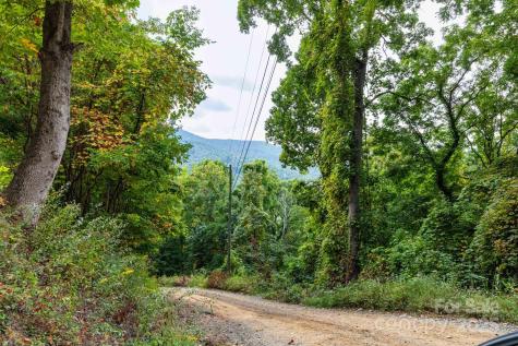 Tbd Springbrook Farm Road Waynesville NC 28786