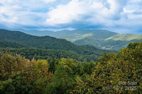 Tbd Springbrook Farm Road Waynesville NC 28786