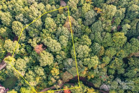 Tbd Springbrook Farm Road Waynesville NC 28786