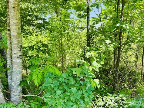 2.66 Acres, Lot 903 High Valley Way Lenoir NC 28645
