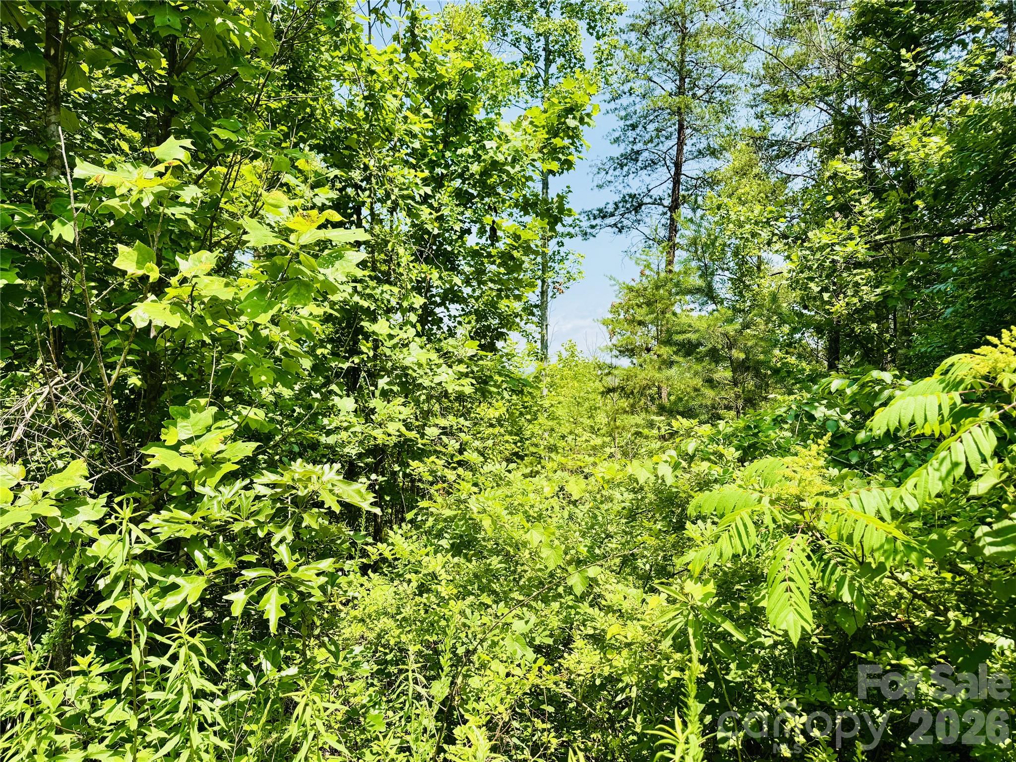 2.66 Acres, Lot 903 High Valley Way Lenoir NC 28645
