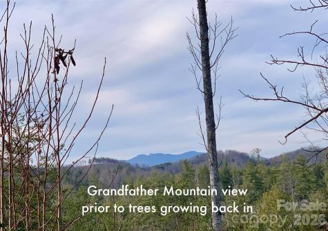 2.66 Acres, Lot 903 High Valley Way Lenoir NC 28645