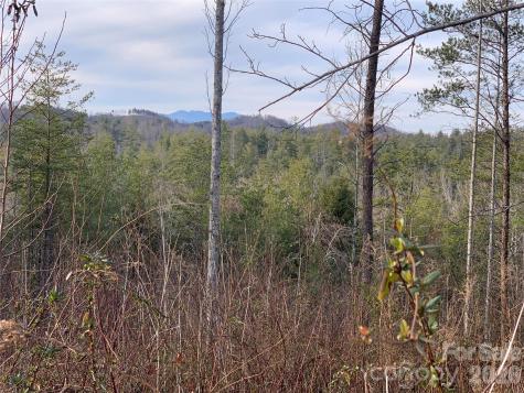 2.66 Acres, Lot 903 High Valley Way Lenoir NC 28645