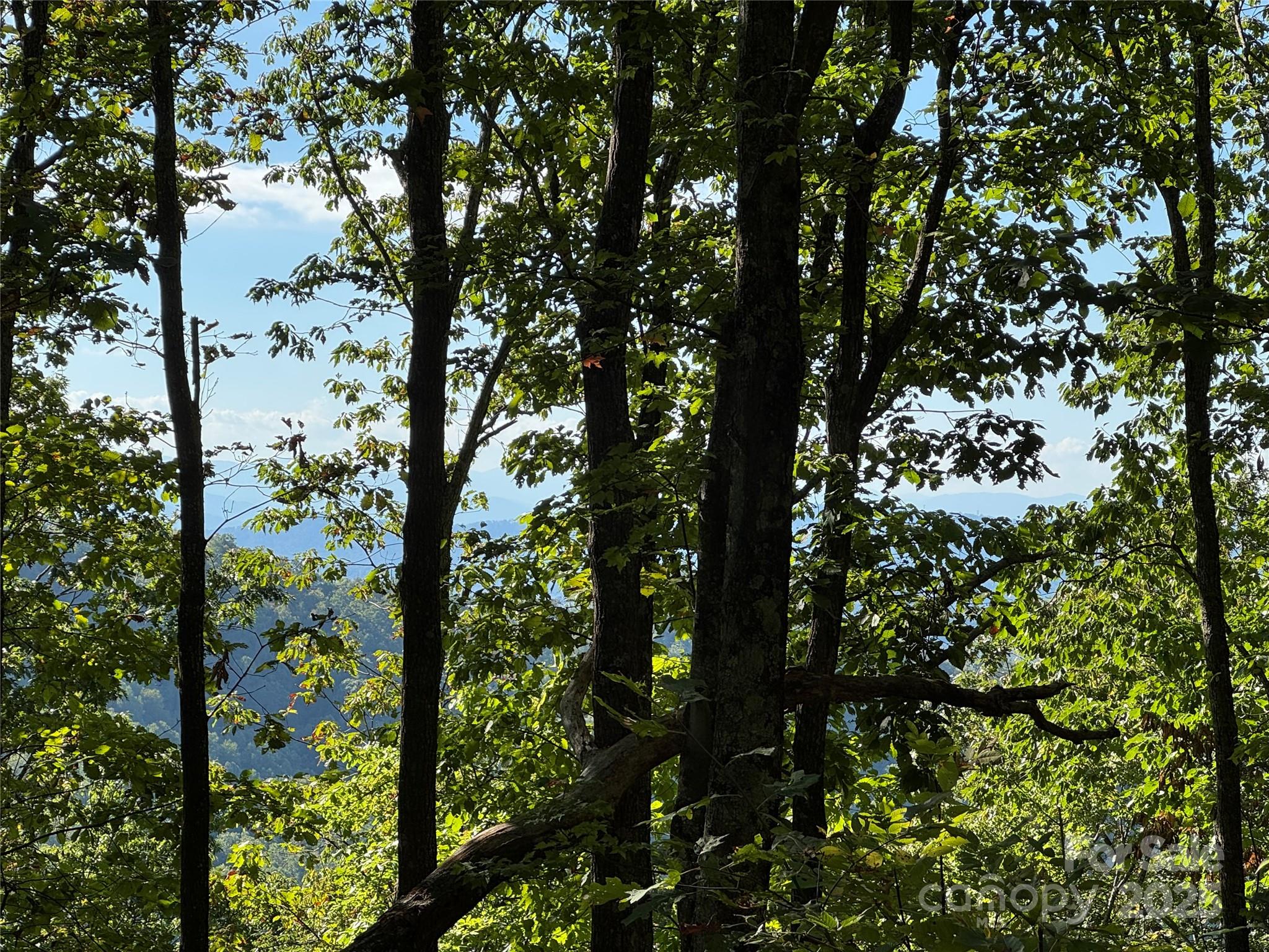 400 High Hickory Trail Swannanoa NC 28778
