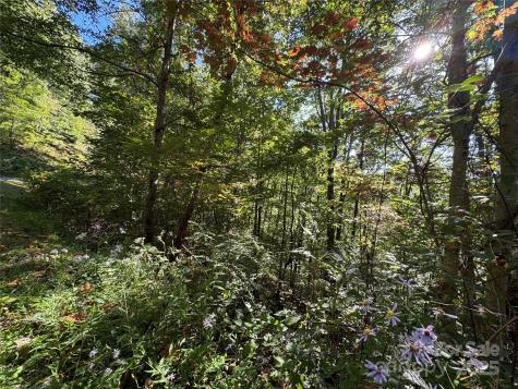 400 High Hickory Trail Swannanoa NC 28778