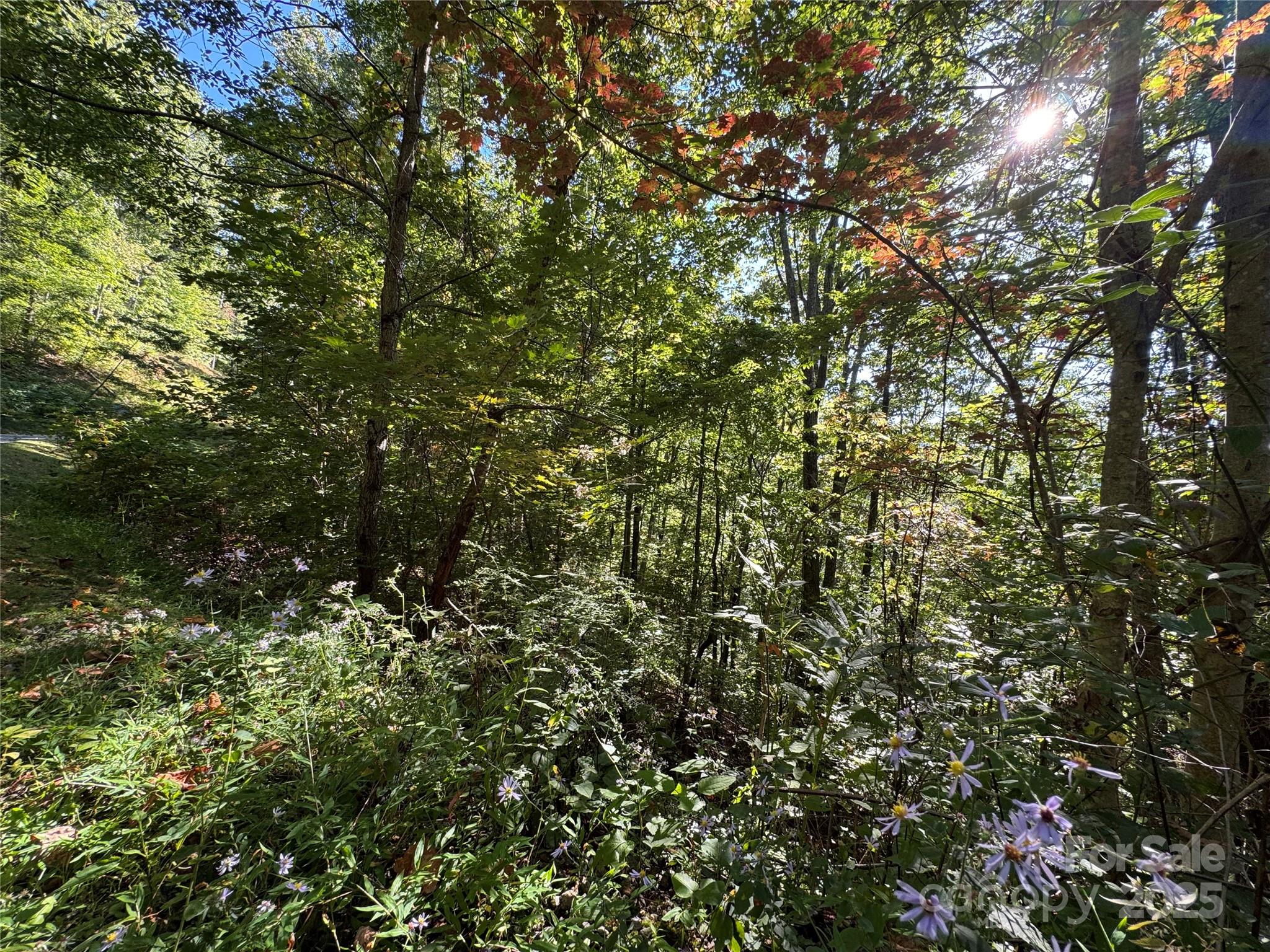 400 High Hickory Trail Swannanoa NC 28778